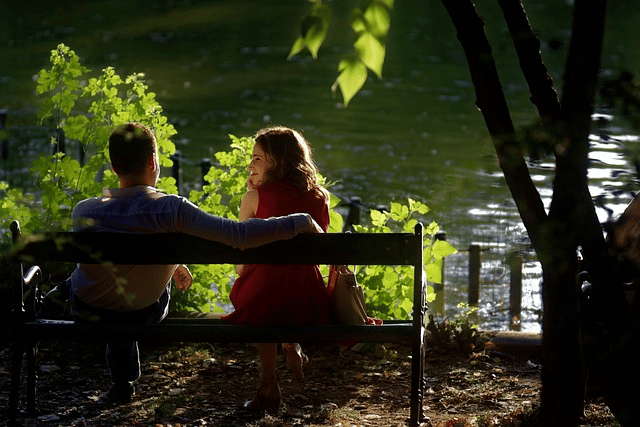 couple, bench, happy