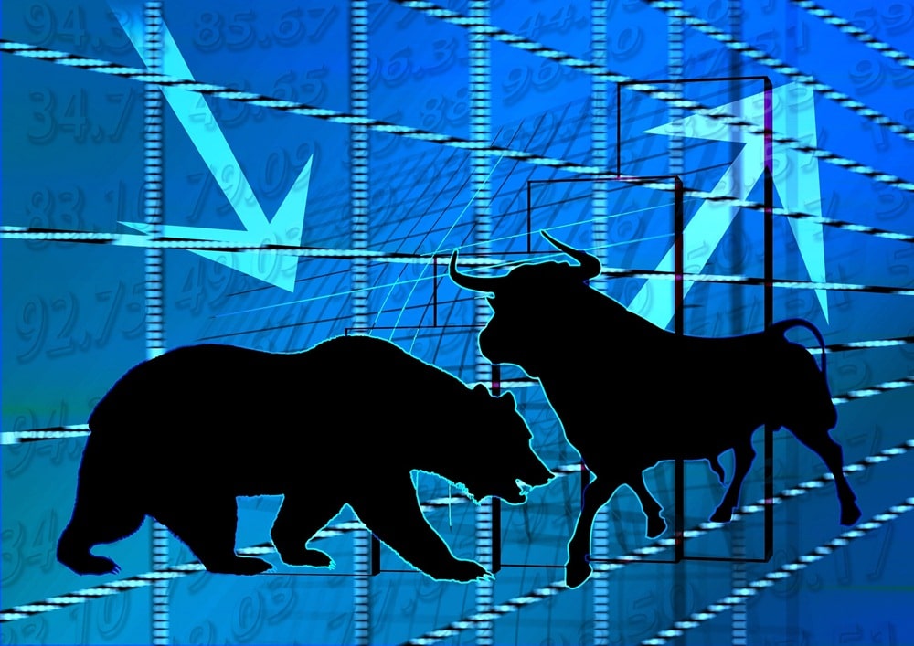 bull bear stock market
