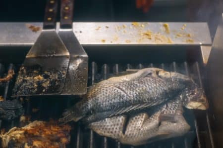 Why You Should Never Eat Tilapia: 4 Most Important Reasons