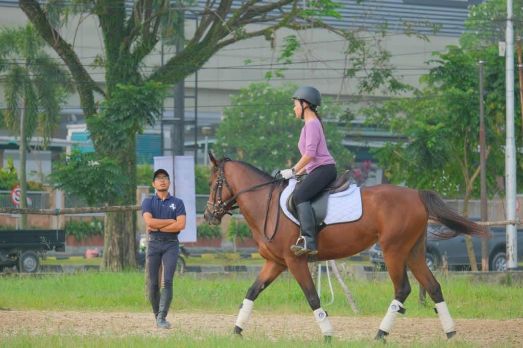 How Horse Jockeys Maintain Focus During Big Races