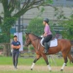 How Horse Jockeys Maintain Focus During Big Races