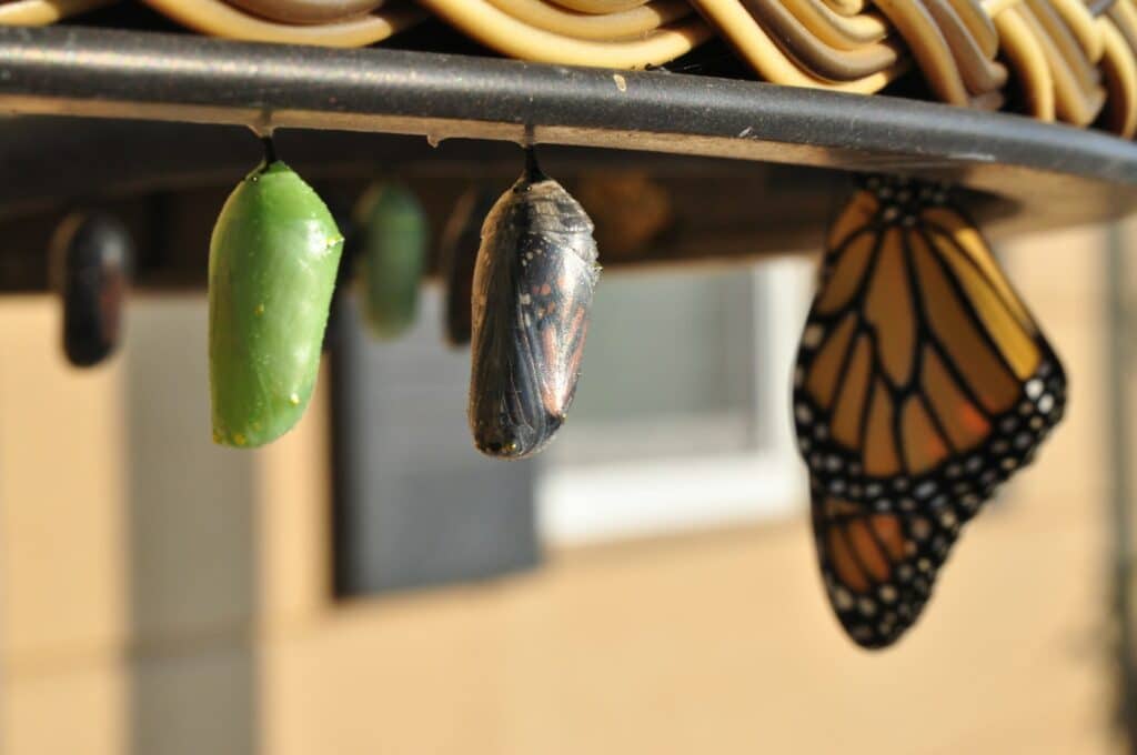 transformational work