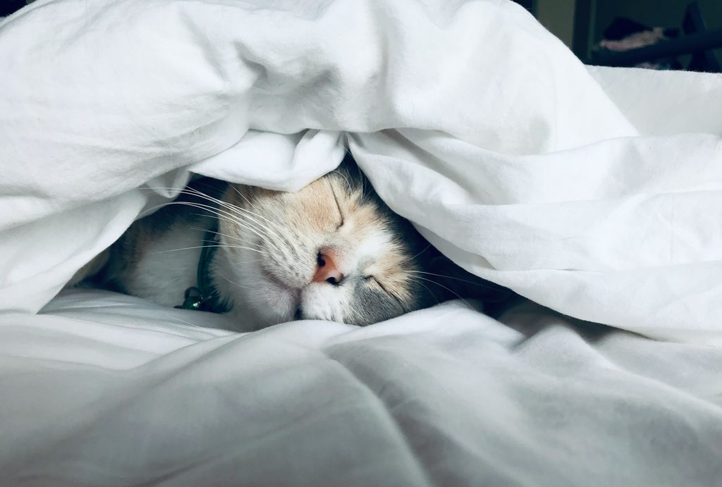 deep sleep